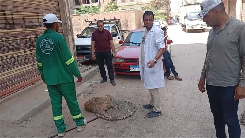 أبناؤنا في خطر، رعب المدارس يجتاح أكتوبر وقرار عاجل من النيابة بعد فاجعة الرضيعة سلسبيل