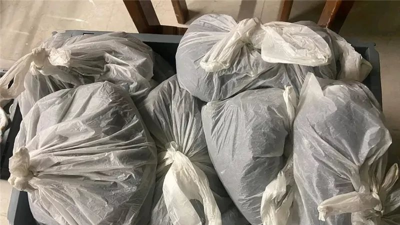 إحباط محاولة تهريب كمية من خصل الشعر الطبيعي بمطار الإسكندرية