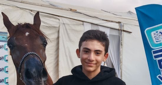 روميو يفوز بالمركز الثانى فى مسابقة جمال الخيل بمهرجان الشرقية.. فيديو
