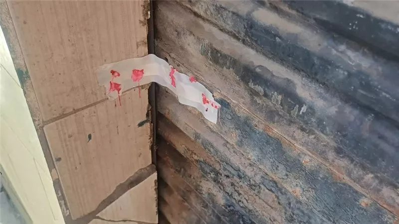 غلق وتشميع مغسلة مخالفة ورفع إشغالات بحي ثاني الإسماعيلية(صور)