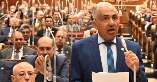معركة تأمين غذاء المصريين.. "وكيل الشيوخ" : منظومة قوية لامتصاص الصدمات الخارجية وحماية الأسواق
