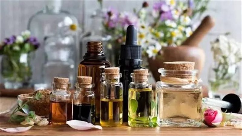 من التحنيط إلى الصناعات الحديثة، الزيوت العطرية ثروة نباتية واعدة في مصر
