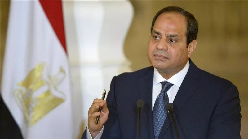 السيسي: لا يمكن تحقيق التنمية المستدامة بصورة أوسع دون نظام دولي أكثر عدالة