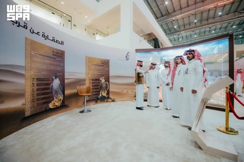 متحف "شلايل" يوثّق علاقة ملوك المملكة بالصقور