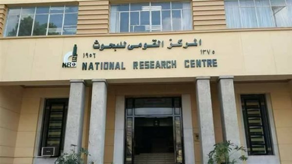 133 عالمًا من القومي للبحوث ضمن أفضل 2% عالميًا في تصنيف ستانفورد