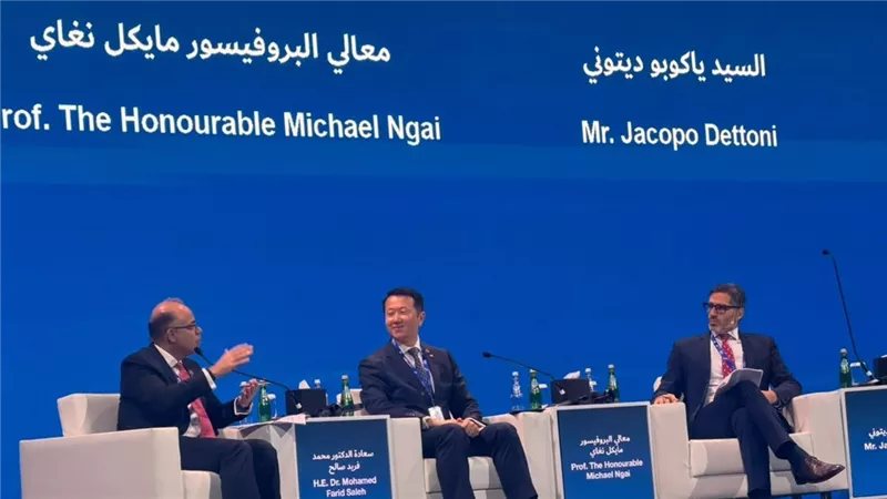 محمد فريد: الاستثمارات الأجنبية تحقق عائدا أكبر عندما تتيح للشركات المحلية الانضمام لسلاسل التوريد العالمية