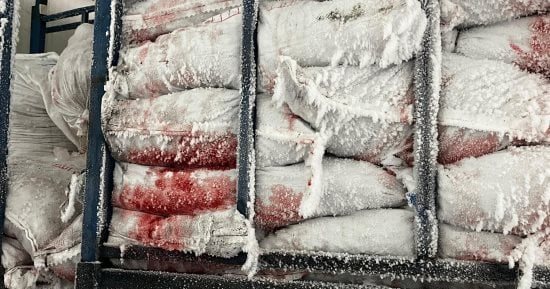 ضبط 10 أطنان و730 كيلو فراولة ومانجو مجمدة فاسدة في حملة بالإسماعيلية