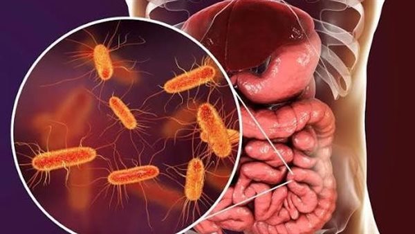 أسرار بكتيريا الأمعاء، دراسة تدق ناقوس الخطر عن علاقة معدل التبرز بصحة القلب والكلى