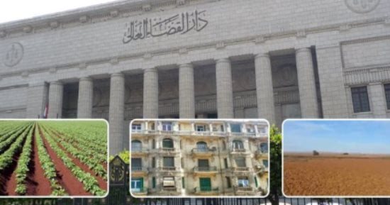 النقض ترسى مبدأ: تبرع المواطنين بأملاكهم للدولة لا يُعد "عقد هبة" بل "عقداً إدارياً"