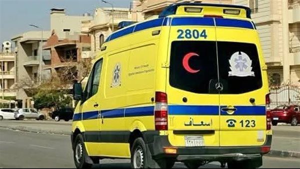 بالأسماء.. إصابة 3 أشخاص من أسرة واحدة بتسمم غذائي بعد تناولهم فسيخ في البحيرة