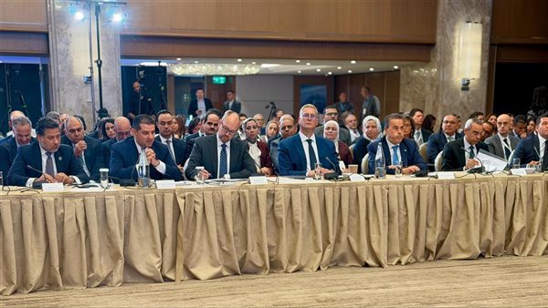 وزير البترول: التعاون مع قبرص يدخل مرحلة التنفيذ لربط حقول الغاز بالبنية المصرية