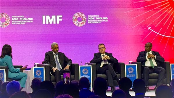 وزير التخطيط: إفريقيا ظلت لعقود سلة للغذاء دون إصلاحات لرفع الإنتاجية وتعزيز التنافسية