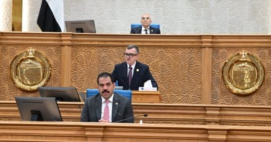 وزير التخطيط: فض 95% من تشابكات بنك الاستثمار القومى وندرس تحويله لبنك تنموى