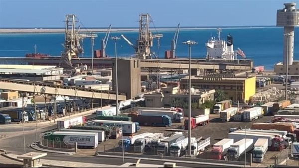 محطة "تحيا مصر 2" بميناء الدخيلة، نقلة نوعية بمنظومة النقل البحري واللوجستيات بمصر