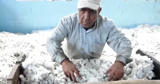تعرف على أقدم محلج للقطن بدأ تشغيله عام 1913 × 19 معلومة