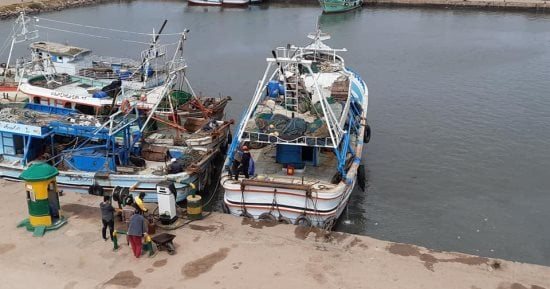 الحبس وغرامة تصل لـ500 ألف حال تعطيل أعمال الصيد بهذه الممارسات