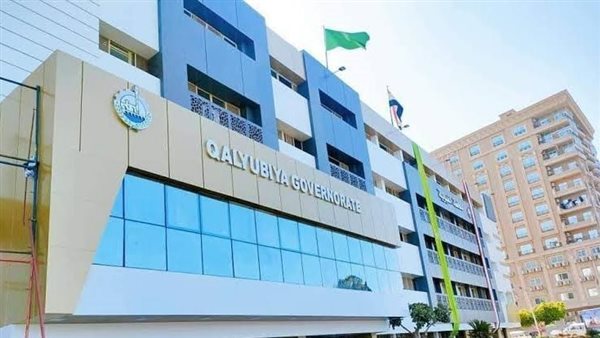 صحة القليوبية تقدم 221 ألف خدمة وفحص ضمن المبادرات الرئاسية خلال أغسطس وسبتمبر