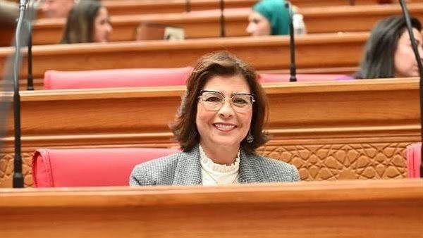 بينها إنشاء مرصد الأثر التشريعي، رئيس تضامن النواب تكشف خطة عمل اللجنة