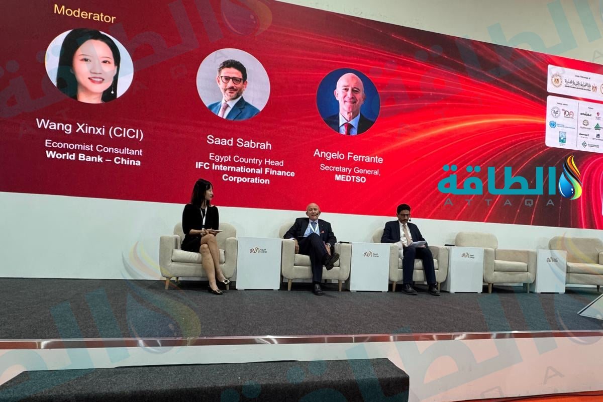 خبراء: الربط الكهربائي يعزز أمن الطاقة ويفتح أسواقًا جديدة أمام مصر