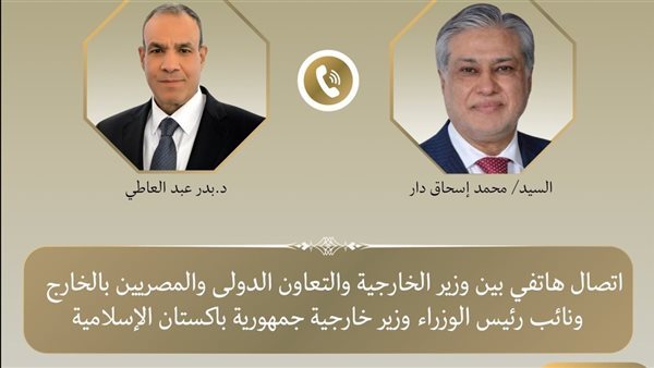 وزير الخارجية لنظيره الباكستاني: أمن الدول الخليجية جزءٌ لا يتجزأ من أمن مصر