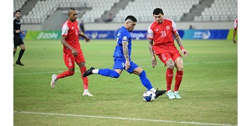 الفحيحيل.. «ماشي سيده»