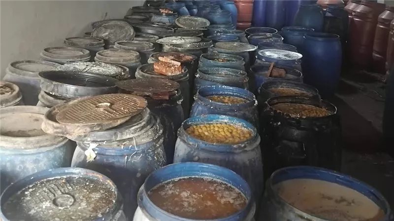 ضبط 500 كيلو زيتون مخلل "بالديدان" في معمل غير مرخص بالفيوم