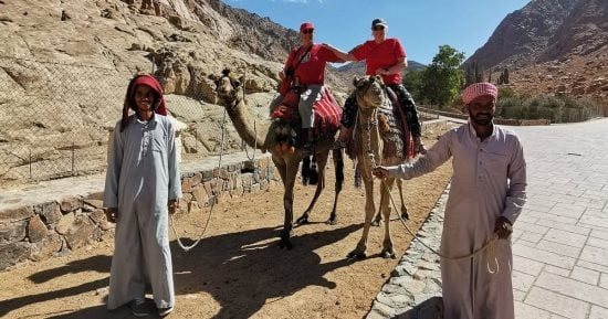 سانت كاترين تستقبل 605 سائحين وسط تزايد الحركة السياحية