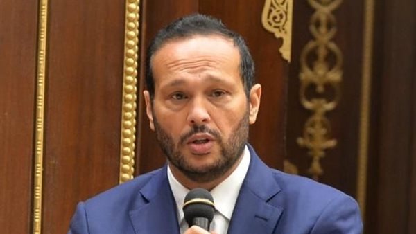 محمد حلاوة رئيسا لـ صناعة الشيوخ في دور الانعقاد الثانى
