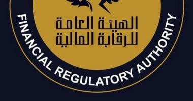 "الربط اللحظى بدأ".. الرقابة المالية تكشف أرقام شركات التمويل لتدقيق البيانات