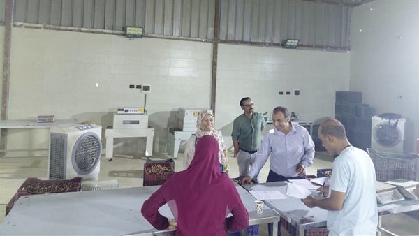 حملة سلامة مهنية على مصانع البلح بالخارجة لحماية العاملين والمنشآت