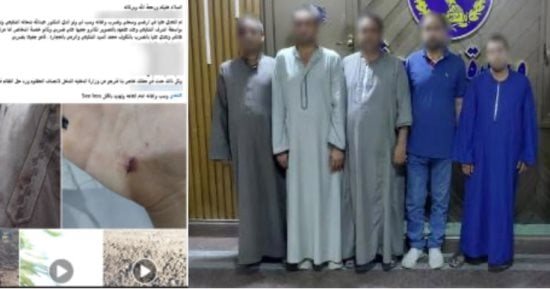 الداخلية تكشف حقيقة فيديو مشاجرة قطعة الأرض الزراعية بمركز طنطا