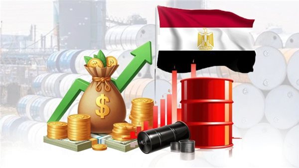 خبير اقتصادي: تعزيز مصادر النقد الأجنبي والطاقة ضرورة لمواجهة الصدمات الخارجية