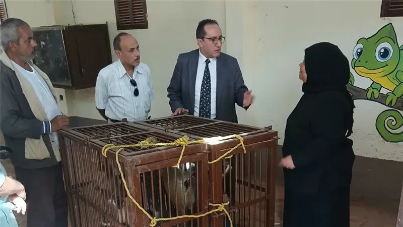 ضبط 8 حيوانات من فصيلة النسناس لدى مواطن بالشرقية وإيداعها بحديقة الحيوان بالزقازيق