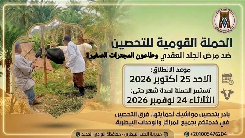 41 لجنة بيطرية تستعد لتحصين الثروة الحيوانية بالوادي الجديد ضد مرضين وبائيين