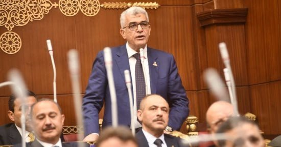 برلماني: مواجهة الشائعات مسؤولية مشتركة بين المواطن والدولة
