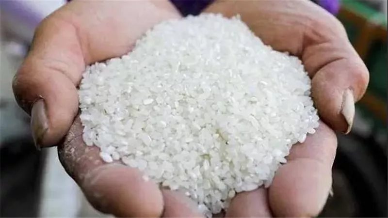 استقرار سعر الأرز بالأسواق اليوم الأحد 25 أكتوبر