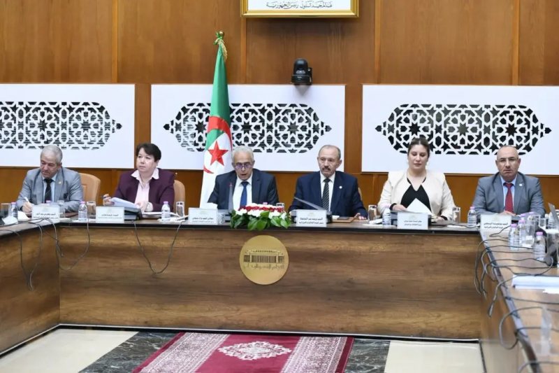 التنقيب عن المعادن في الجزائر يشهد 16 مشروعًا