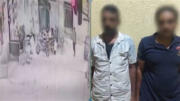 عرف موعد توريد الأموال فخطط لسرقتها.. سقوط مالك محل وشريكه في قويسنا