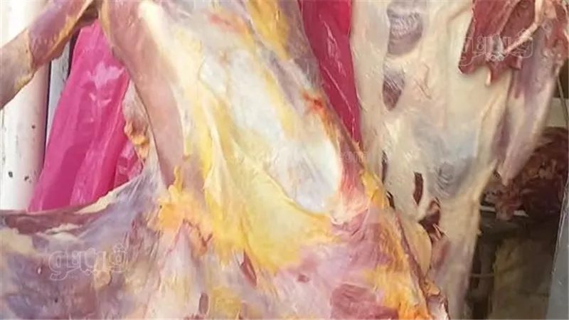 ضبط 2.8 طن دهون ومصنعات لحوم غير صالحة في حملة تموينية بشبين القناطر