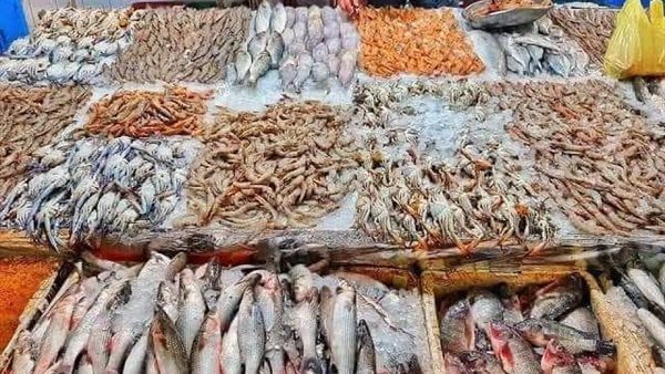 أسعار الأسماك اليوم، ارتفاع مفاجئ في البلطي وقشر البياض وانخفاض المكرونة 20 جنيها