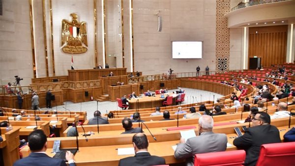 "النواب" يوافق على اعتراض رئيس الجمهورية بشأن مادة بقانون "كيان" ويعلن تشكيل لجنة خاصة للدراسة