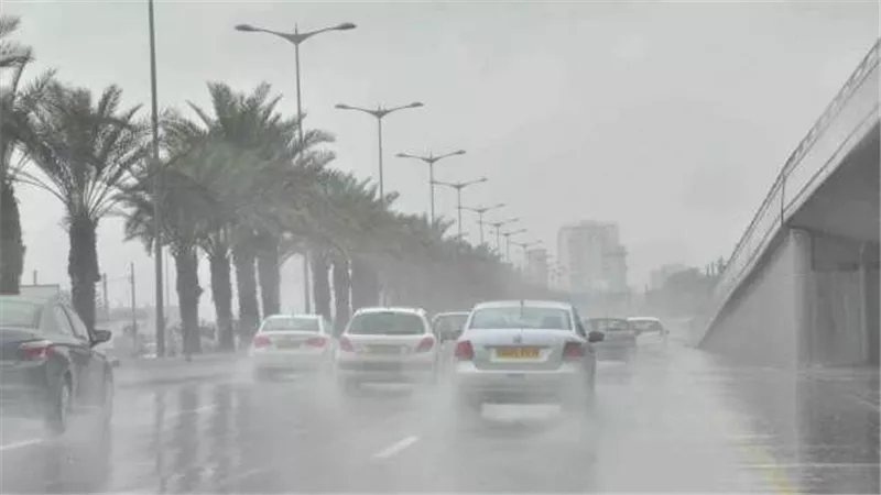 الأرصاد تحذر من الشبورة الكثيفة، تفاصيل طقس الأيام المقبلة ودرجات الحرارة