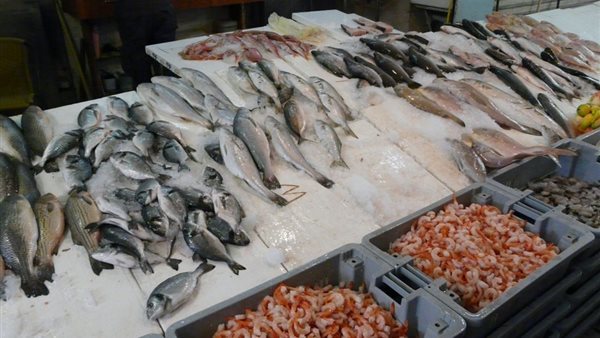 أسعار الأسماك اليوم، استقرار البلطي وارتفاع البوري والجمبري