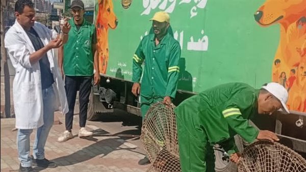 استجابة لشكاوى الأهالي.. حملات مكثفة لمواجهة الكلاب الضالة بحي غرب المنصورة