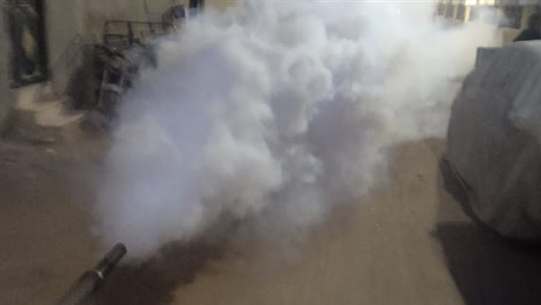 الصحة تحذر من خطورة الرش العشوائي للحشرات