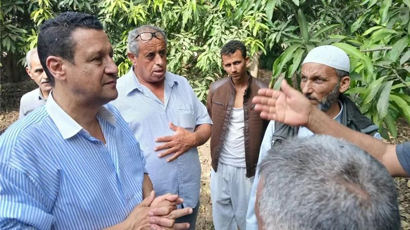 "الزراعة" تتحرك لدعم مزارعي شمال سيناء، متابعة المحاصيل وتفعيل الجمعيات الزراعية