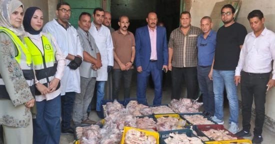 ضبط وإعدام 1791.2 كجم من اللحوم والمنتجات المخالفة خلال 9 أشهر فى سوهاج