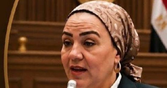 داليا الأتربي: جولة الرئيس الآسيوية تفتح آفاقًا جديدة للشراكة الاقتصادية