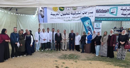 مدير مديرية الطب البيطرى بالشرقية: قدمنا خدمات متكاملة لرعاية الخيول المشاركة فى المهرجان