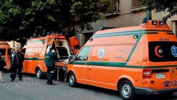 7 مشاهد في مقتل سيدة على يد زوجها بعين شمس، خلافات أسرية تنتهي بطعنات قاتلة
